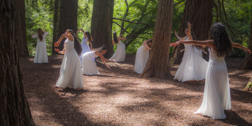 Women in white dance in tree grove