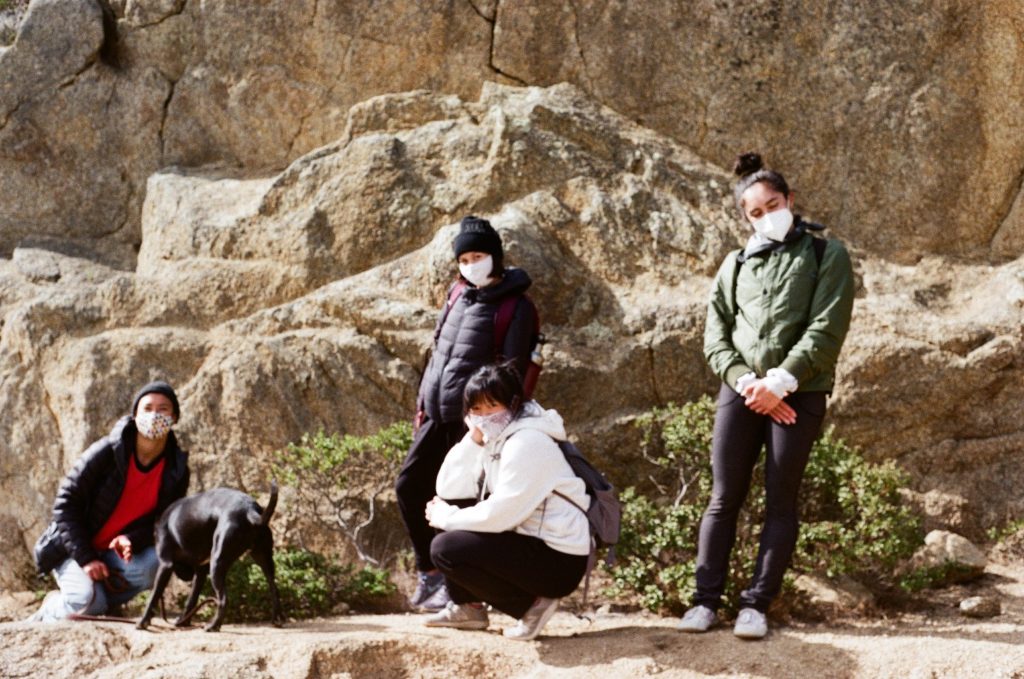 Quartet of women and a dog outside sitting on a mountainside