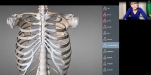 Screenshot from an online somatic education class taught by Diana Lara that shows an anatomical image of a frontal view of the ribcage