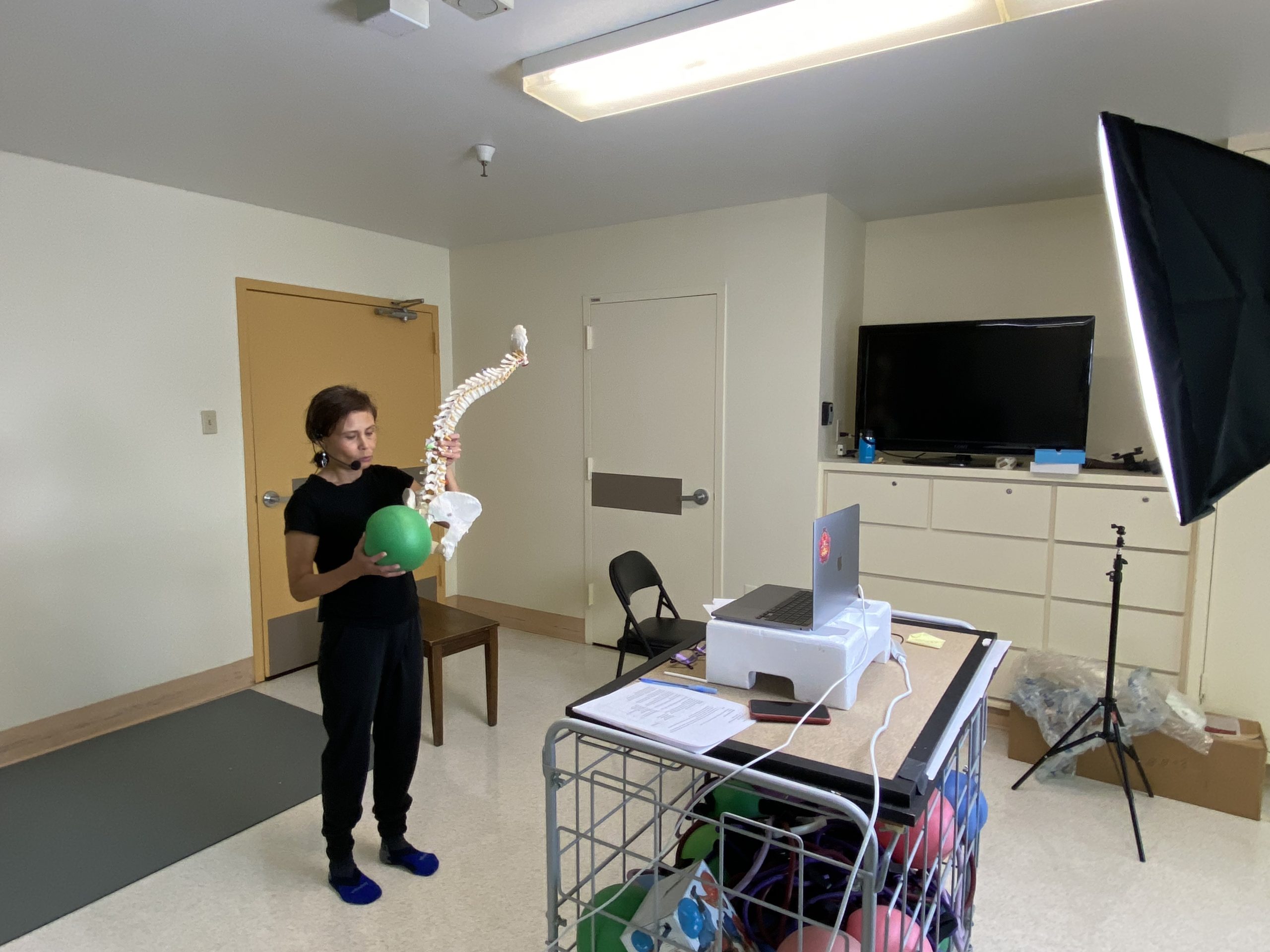 Somatic movement practitioner Diana Lara holds a green ball next to the coccyx of a spine model.