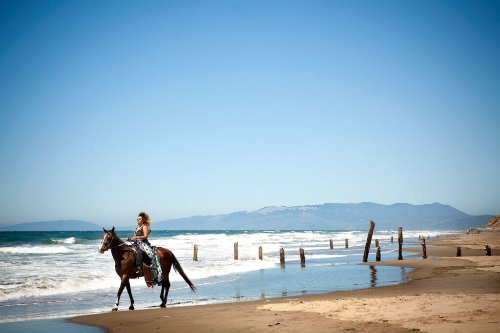 DJ Emancipation riding a horse on a beach