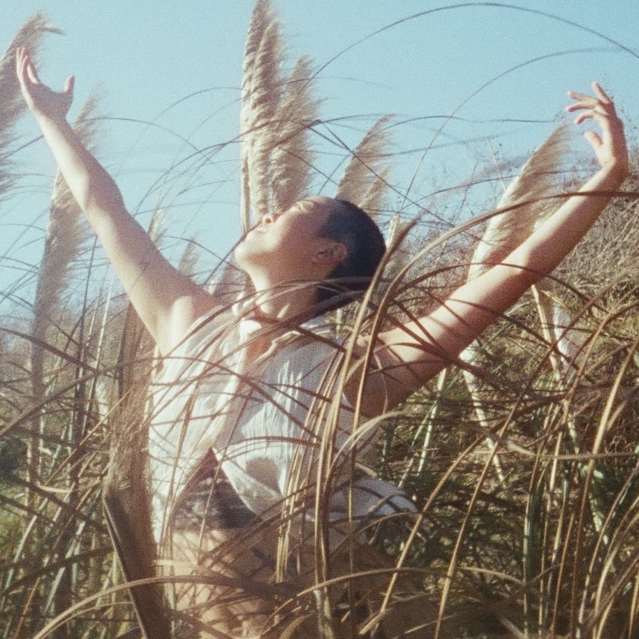 A dancer stands in a field with arms up in a U. We see the dancer's upper body only.