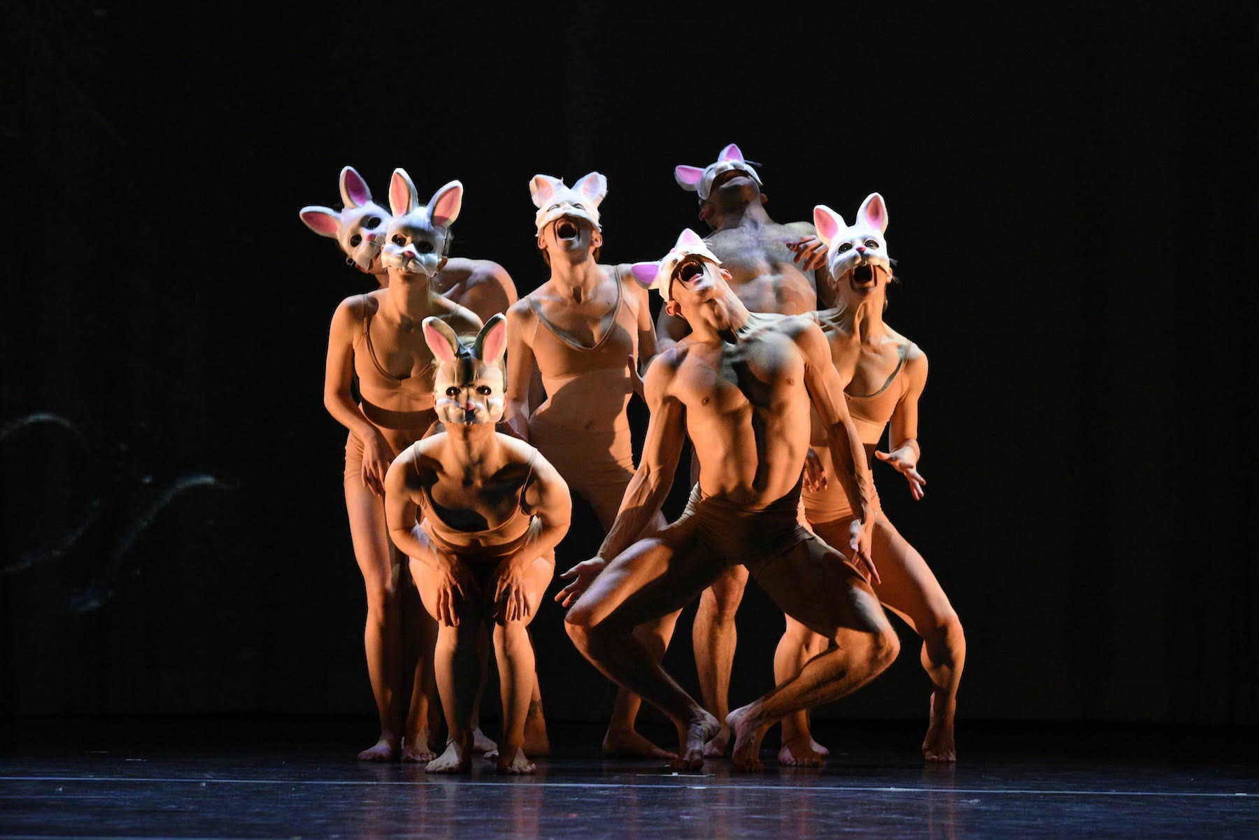 A group of dancers in MOMIX’s Alice pose in the center of the stage wearing nude leotards and rabbit masks. The performance’s theatrical choreography is inspired by Lewis Carroll’s iconic storybook characters from Alice’s Adventures in Wonderland.