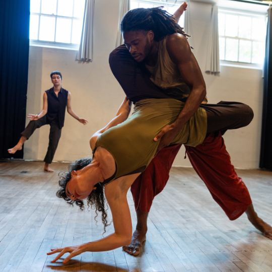 1 dancer holding another upside down. 