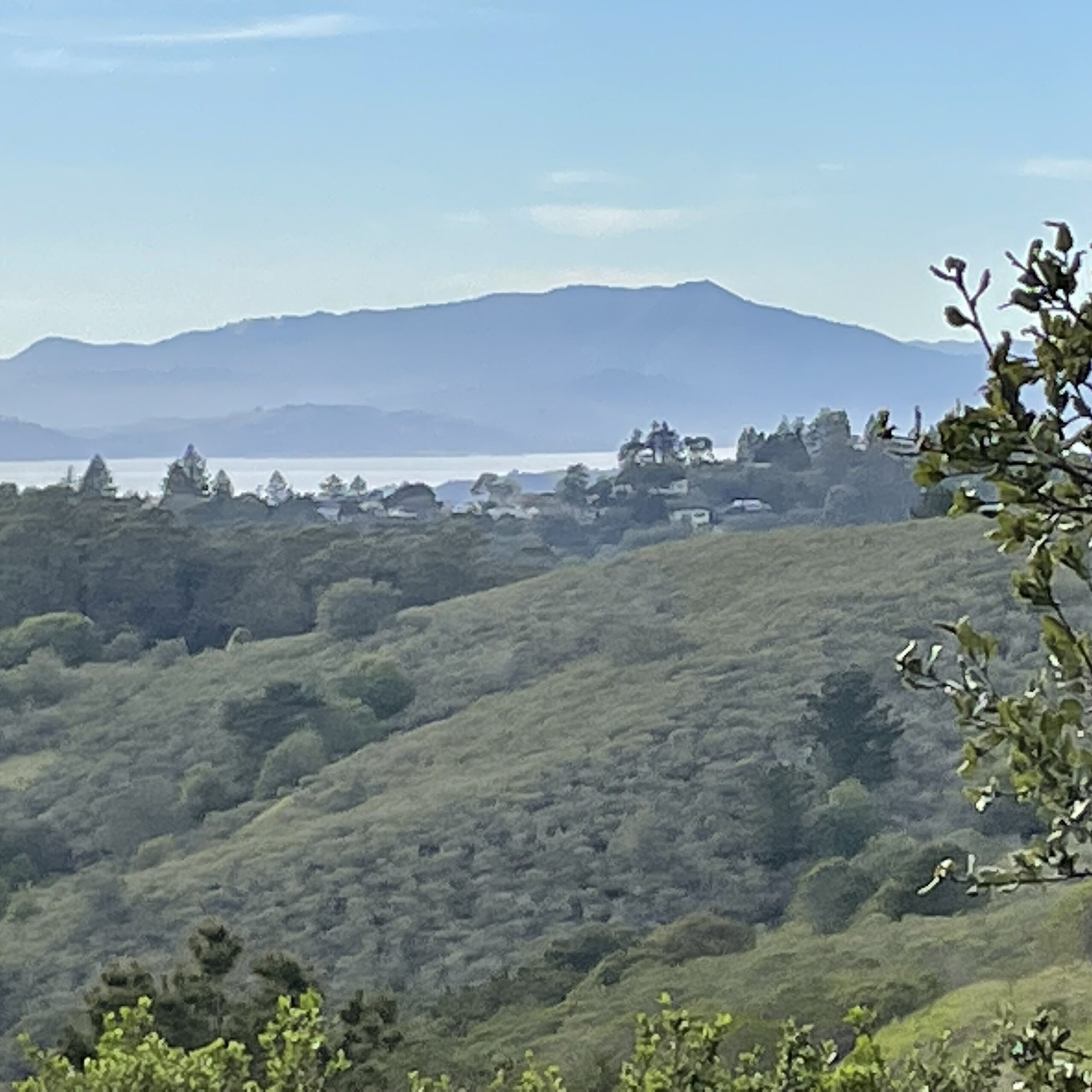 Photo looking at Mount Tamalpais from across the Bay