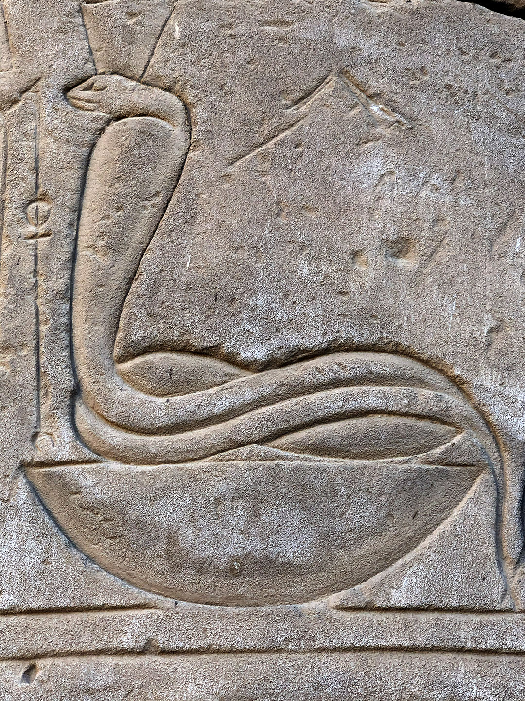 Hiroglyph of a serpent, taken in Egypt in Karnak