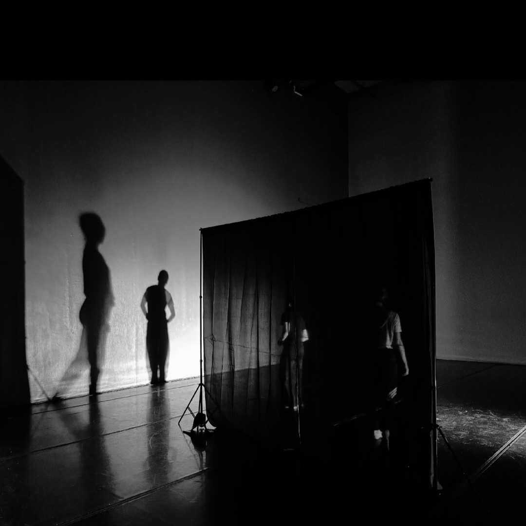 A black-and-white photograph of a dimly lit room with human figures, dramatic shadows, and a translucent fabric partition. Strong lighting and deep contrast create a mysterious, theatrical atmosphere, emphasizing themes of identity, perception, and concealment.